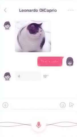 网站攻击测试软件程序维护界面